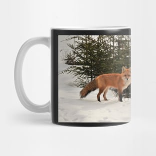 Foxy in the woods Mug